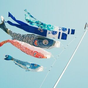 Bundle for gigisanch